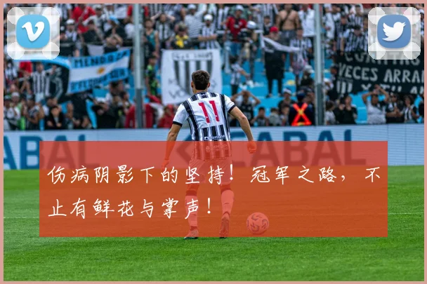 伤病阴影下的坚持！冠军之路，不止有鲜花与掌声！