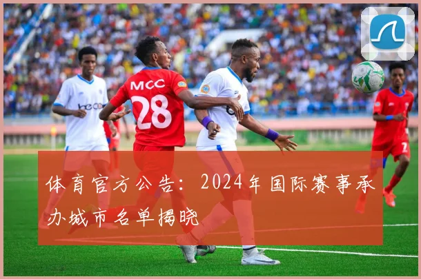 体育官方公告：2024年国际赛事承办城市名单揭晓