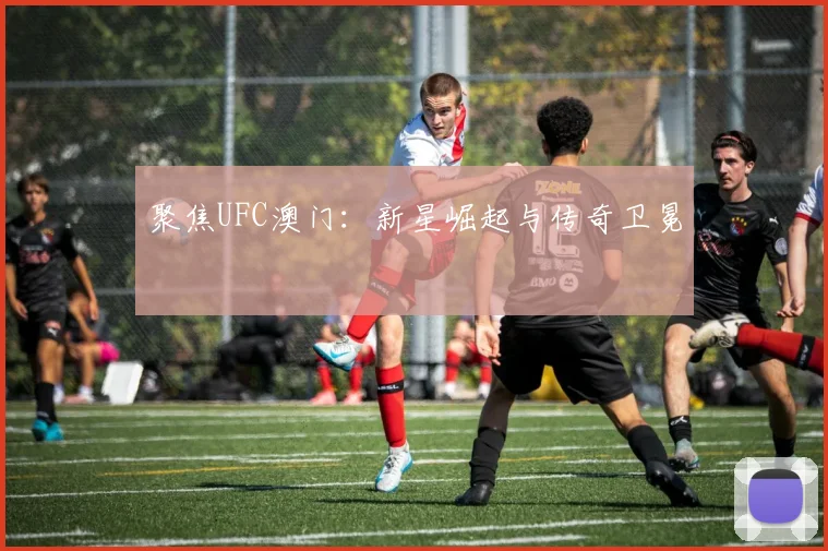 聚焦UFC澳门：新星崛起与传奇卫冕