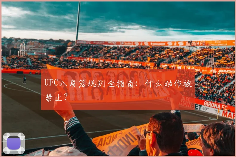 UFC八角笼规则全指南:什么动作被禁止?