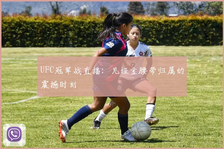 UFC冠军战直播：见证金腰带归属的震撼时刻
